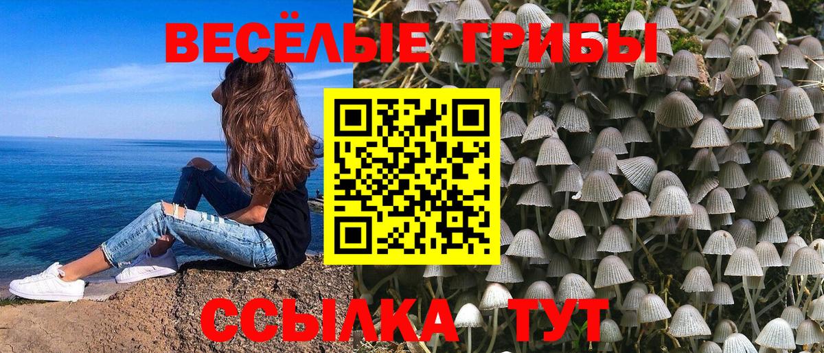 Отрадное  Галлюциногенные грибы Cubensis  Вход с VPN 